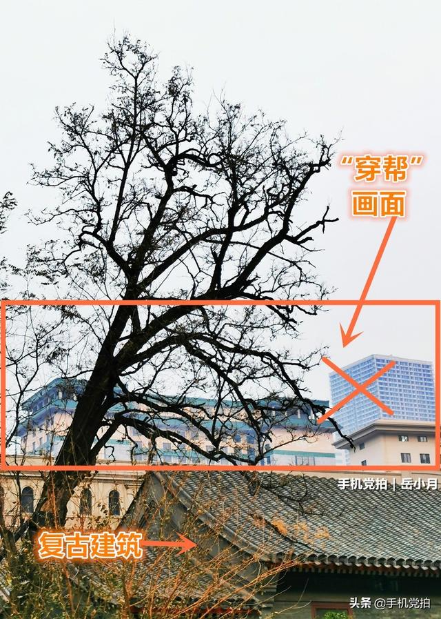 轻烟老树寒鸦什么意思，轻烟老树寒鸦前面一句是什么（不妨跟着“古诗”拍拍看）