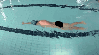 自由泳腿部动作是怎样的，自由泳的腿部动作要领图解（自由泳打腿的“四字诀”可以将速度提高一阶）