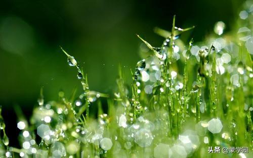 春意可以用什么形容词，形容春意浓的词语（38个描写春天的四字成语）