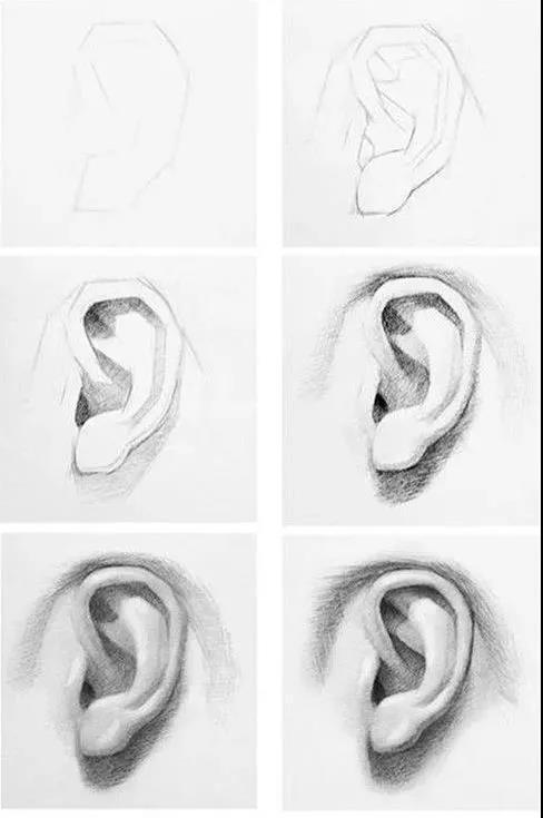 五官有哪些，人的五官准确是哪五官（动漫人物五官的详细画法）