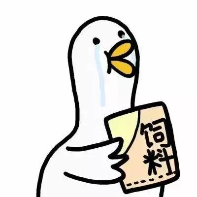 八对闺蜜男头，微信头像，八对闺蜜男头（精选头像丨2、4、8种组合的闺蜜基友头像）