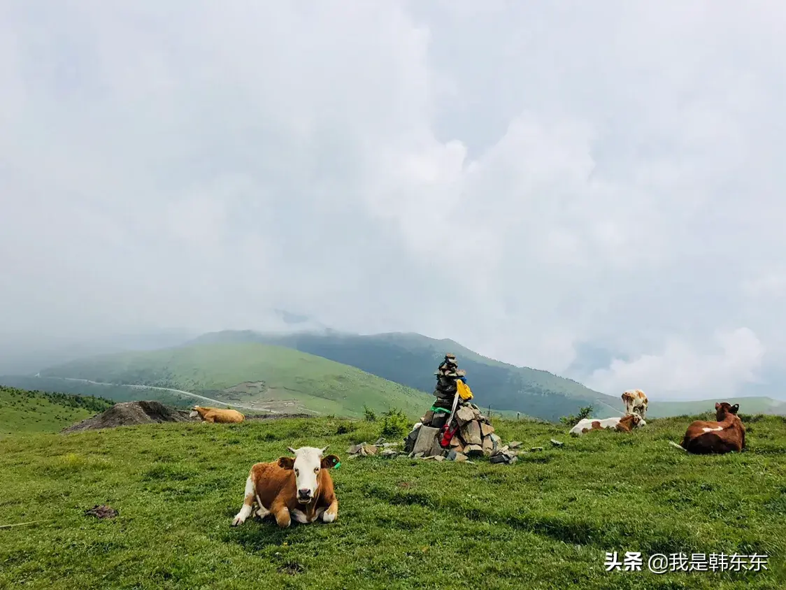 五台山旅游攻略分享（亲身感受总结的两天出游攻略！）