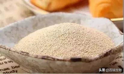 活性干酵母的作用与功效，干酵母有什么作用（水产养殖——酵母篇）