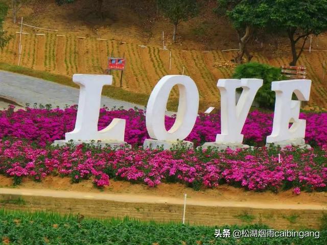 东莞梦幻百花洲，东莞梦幻百花洲怎样（梦幻百花洲）