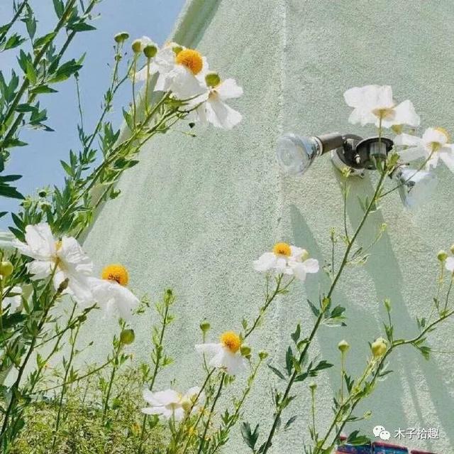 童心未泯下一句是什么，童心未泯所遇皆甜下联（童心未泯不觉老）