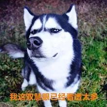 怎么卸载迈克菲，怎么卸载迈克菲软件（高手秘笈丨记住这三点）