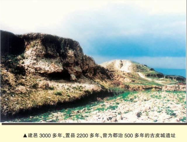 南皮在哪里，南皮在哪里做核酸检测（说说我的家乡—南皮）