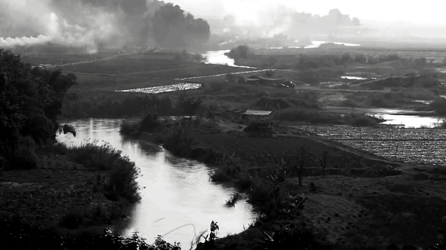 知青周萍的结局，周萍最后的结局是自杀（指导员被纳为重点嫌疑对象）