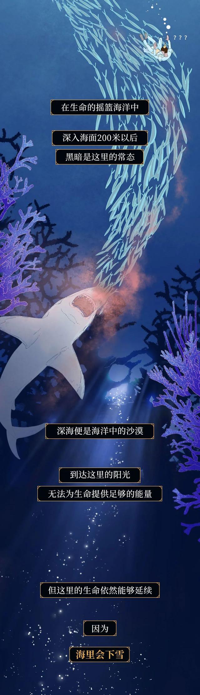 一鲸落万物生什么意思，万物生是什么意思（深入解析什么是“一鲸落）