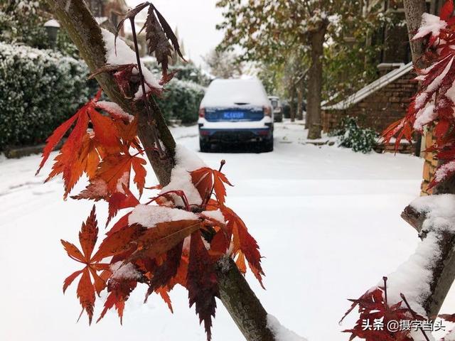 情侣唯美雪景图片，情侣唯美雪景图片真实（冬日初雪印象：一半冬雪）