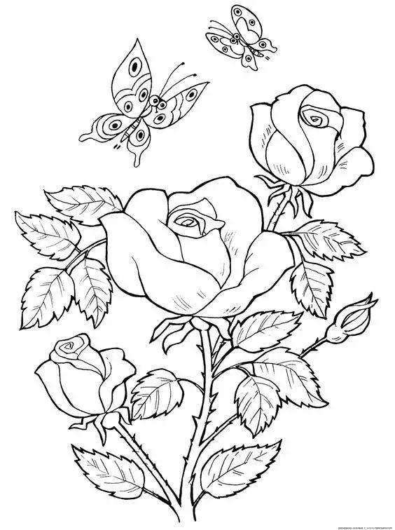 简单的花怎么画，如何画小花花简笔画（一朵花，简单的几笔就可以了）