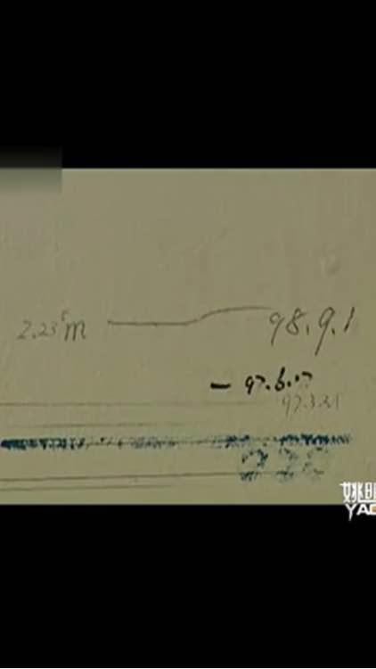 姚明的个人资料，姚明的个人资料简介 个人简历（照片显示他比2米31的穆雷桑还高）