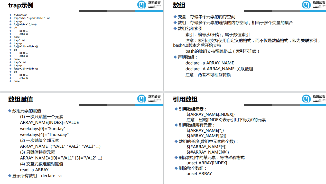 shell编程入门