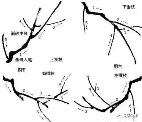 梅花简笔画的画法，梅花的简易画法简笔画（国画梅花画法详解）