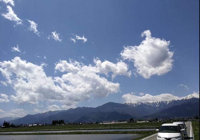 芥末为什么叫瓦萨比，瓦沙米是芥末吗（终于去了安昙野大王山葵农场）