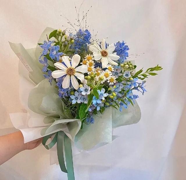 过期的彩妆眼影属于什么垃圾，过期的彩妆眼影属于什么垃圾分类（垃圾分类图鉴，女生必看指南）