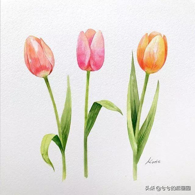 简单的花怎么画，玫瑰花画法（3个简单步骤教你画出一朵小花花）