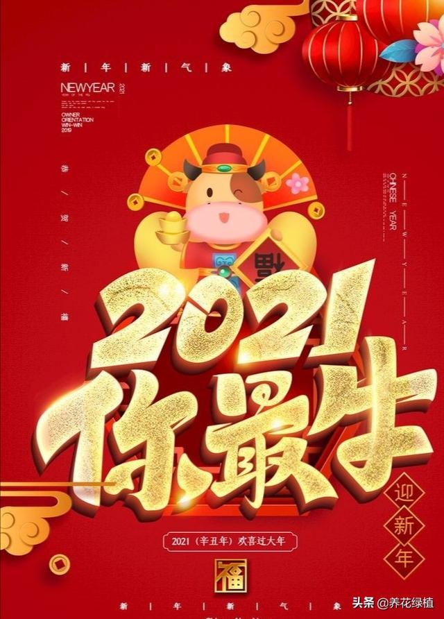 明年什么年属什么生肖，明年是什么生肖（2021年是辛丑年）