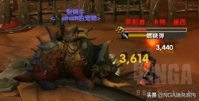明格斯迪格斯怎么打，搏击俱乐部攻略（[魔兽8.1.5]新搏击俱乐部）