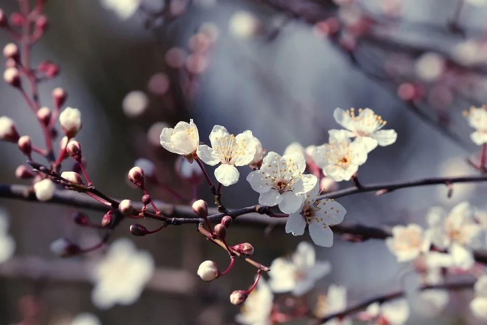 亚迪学校学费（四月升学）