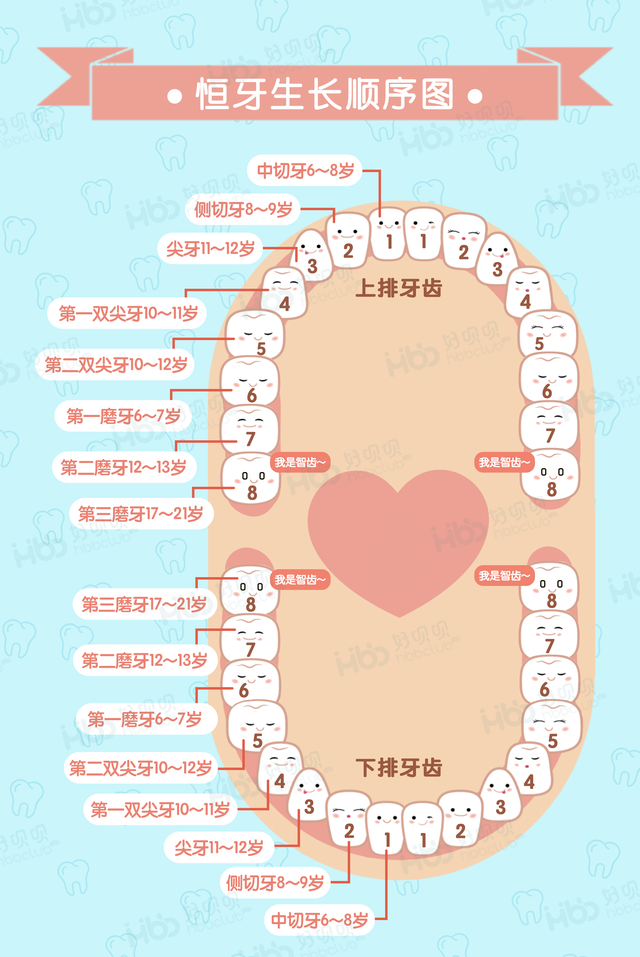 6岁儿童下排门牙内侧长出牙，6岁下门牙还没掉就长新牙（6岁男孩乳牙没掉就冒出恒牙）