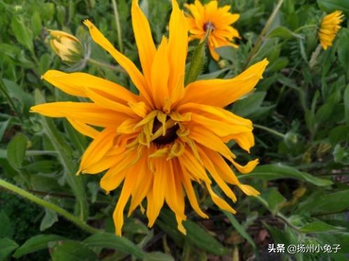 未了情歌词，邓丽君未了情原唱（旋律响起，人鬼之间未了情）