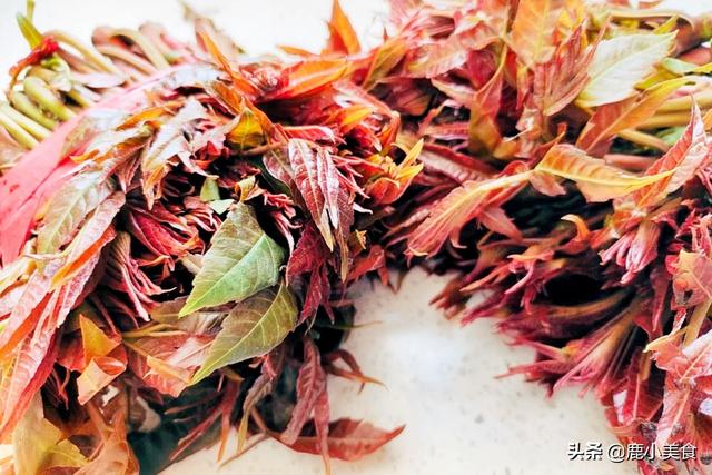 春季时令菜制作方法，时令菜怎么做（别忘吃“开春5鲜菜”）