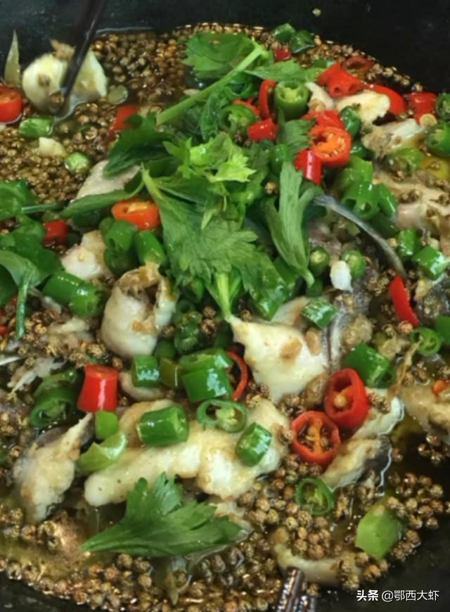 黔鱼怎么做好吃，四川花椒鱼酸菜鱼水煮鱼诸葛烤鱼纸包鱼最好吃的正宗做法