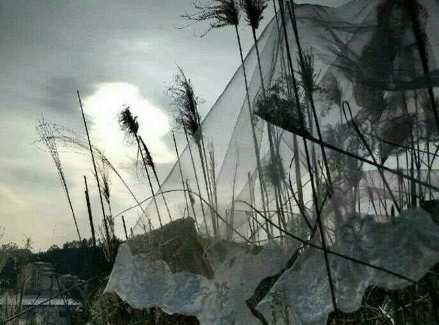 伤感   失恋，微信头像，伤感   失恋（限量版+丧+套图）