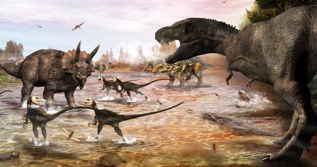 第六次生物大灭绝，地球正进入第六次生物大灭绝（5次生物大灭绝地球经历了什么）