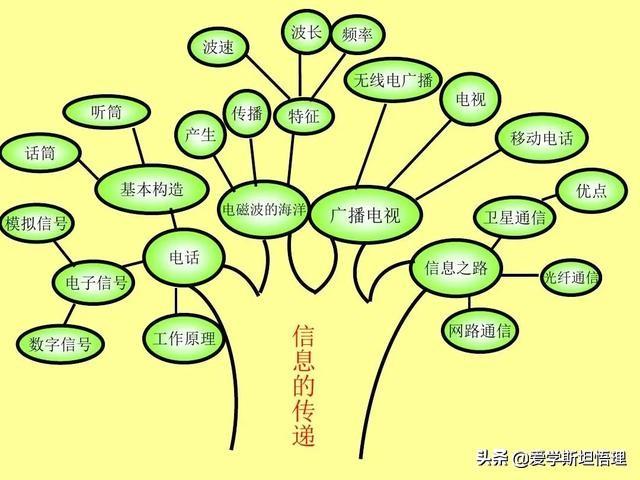 树状思维导图模板，知识点总结树状图（初中物理树状思维导图）