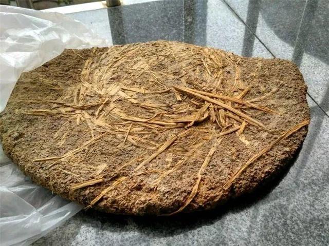 家里有鼻涕虫怎么消灭，鼻涕虫怎么彻底消灭（自制天然杀虫水）