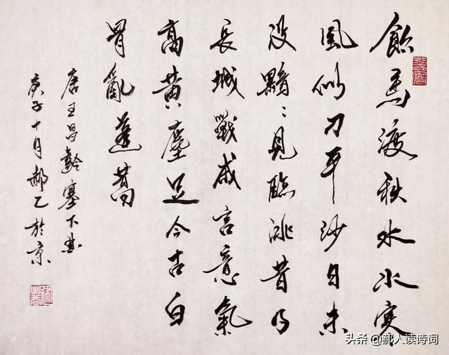 塞下曲古诗意思，塞下曲古诗意思简介（解读王昌龄《塞下曲》）