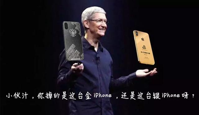 海豚和白鲸的区别，白鲸为什么是海豚（妹子的iPhone掉进大海后）