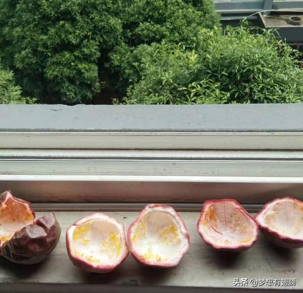 百香果怎么泡水喝，百香果怎么泡水喝步骤（教你自制消暑清凉茶）