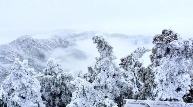 五岳位于山东的是什么山，五岳位于山东的是哪座山（中国传统文化知识普及之七）