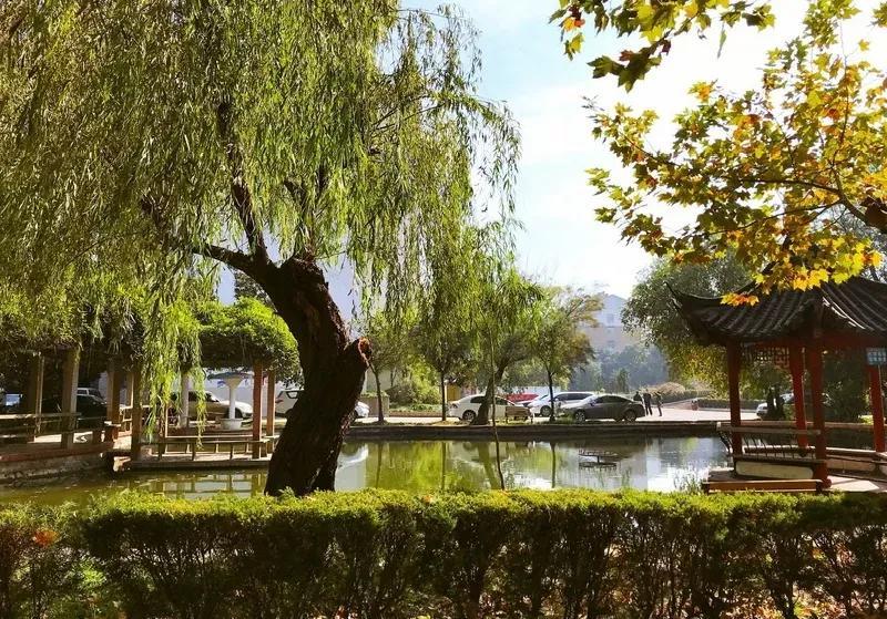 安徽大学江淮学院教务系统，安徽大学江淮学院教务系统入口（<三十七>安徽大学江淮学院）