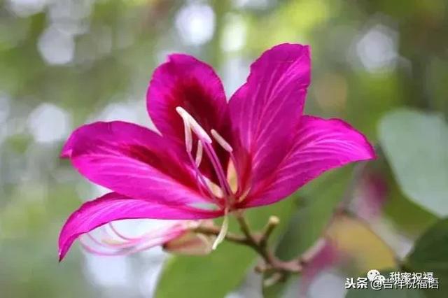 同事退休祝福语，给退休同事的祝福语2022（退休三气、三有、三乐……句句入骨）