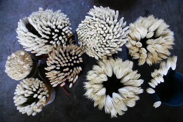 湖州市的湖叫什么，湖州市的湖叫什么 新闻（中间还有一个最美的湖州）