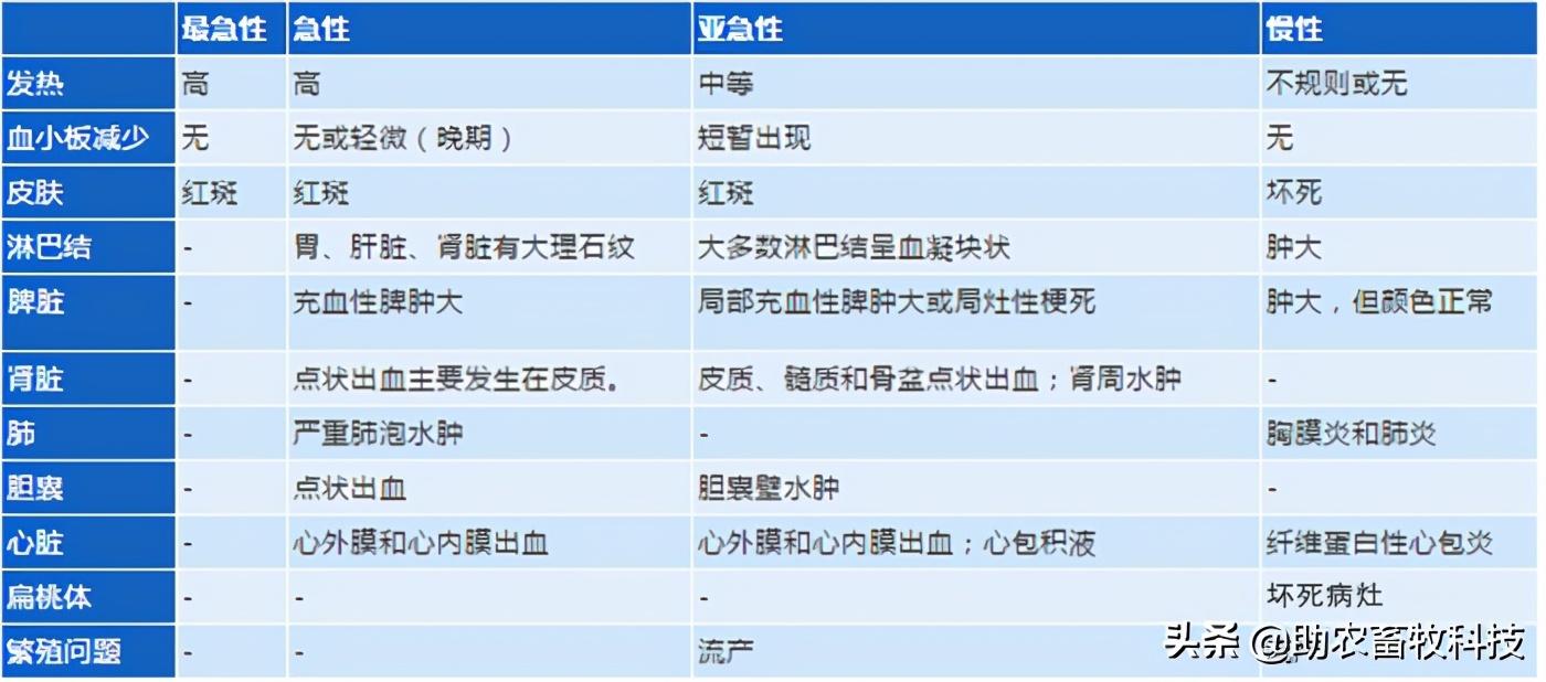 弱毒非洲猪瘟症状(弱毒非洲猪瘟症状)