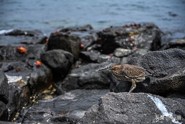 厄瓜多尔在哪里，厄尔多瓜具体在哪里（走进厄瓜多尔——世界上唯一以“赤道”命名的国家）