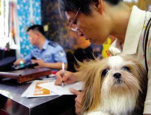 办狗证有什么用，狗狗办了狗证有什么用（狗狗或面临被“处死”风险）