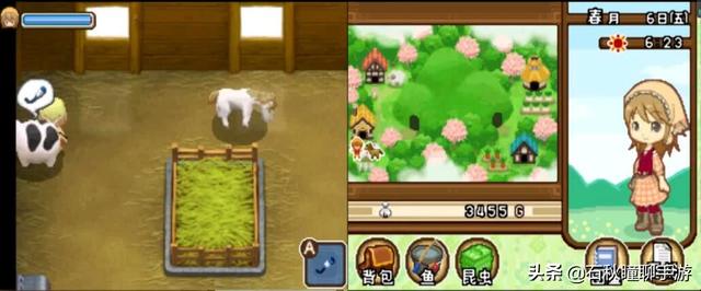牧场物语 双子村，牧场物语双子村可以养什么动物（ 从简单种田到高自由度沙盒 你不知道的正统《牧场物语》系列回顾）
