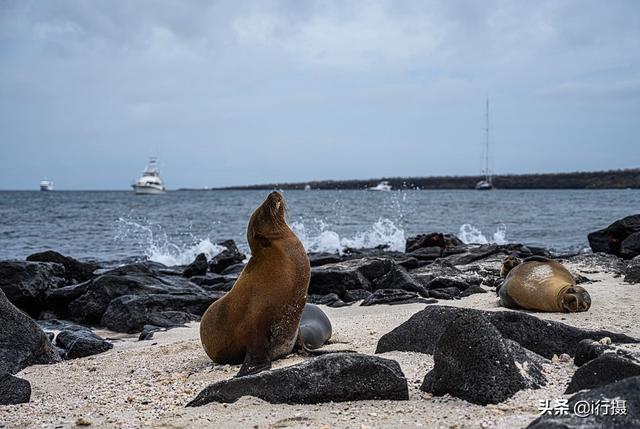 厄瓜多尔在哪里，厄尔多瓜具体在哪里（走进厄瓜多尔——世界上唯一以“赤道”命名的国家）