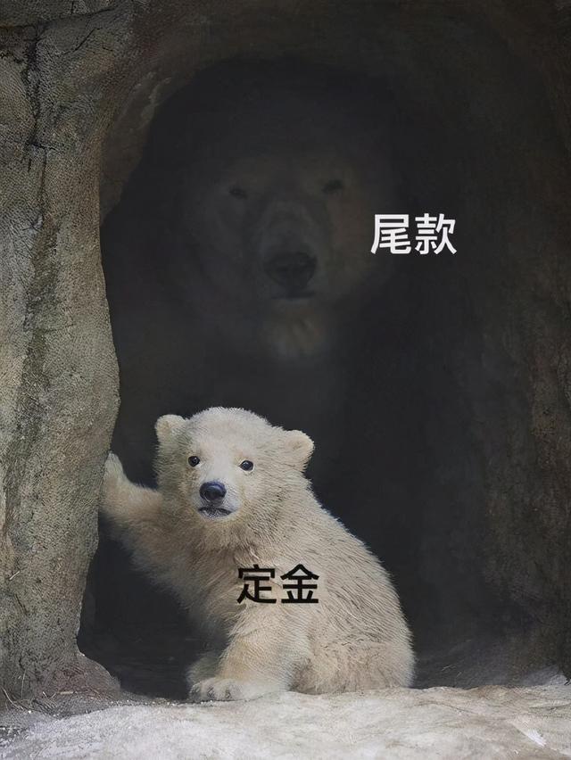 淘宝定金可以退吗，淘宝定金可以退吗2020（2020淘宝双11付了定金可以退吗）