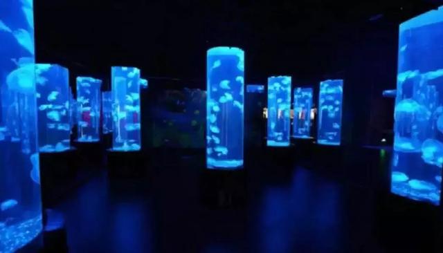 西安海洋馆，一天玩转曲江海洋公园的攻略现在才知道（西安海洋馆作文）