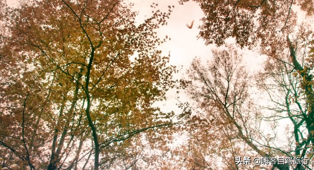 三城记原型，三城记原著作者是谁（二刷电影~三城记不光表现出50年代的爱情故事还有安徽的秋色唯美）