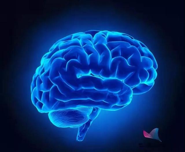 为什么说辣是一种痛觉而非味觉，为什么说辣是一种痛觉而不是味觉（原来辣不是一种味道而是一种“痛觉”）