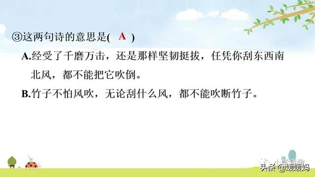 立根原在破岩中，立根原在破岩中里的破岩还是什么（六年级下册语文第10课《古诗三首》图文详解及同步练习）
