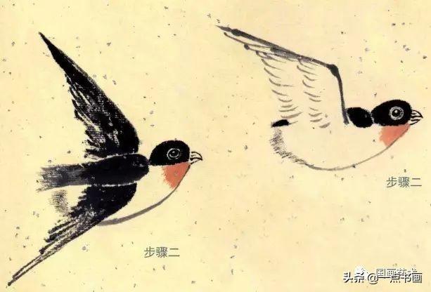 燕子怎么画，燕子怎么画 简笔画（花鸟扇面《春柳双燕》分解画法示范）